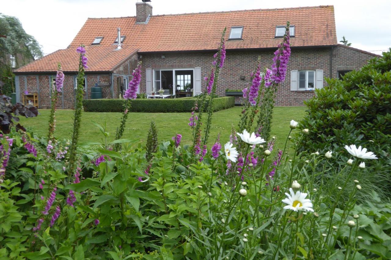 Vakantiewoning Jérôme Heuvelland Extérieur photo